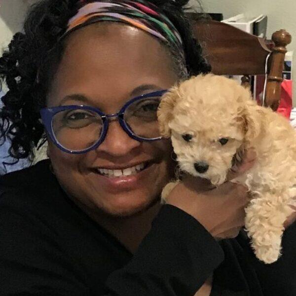 Animal Hospital In Benbrook Tx Animal Doctors Of North Texas